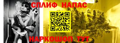 мдпв Пенза