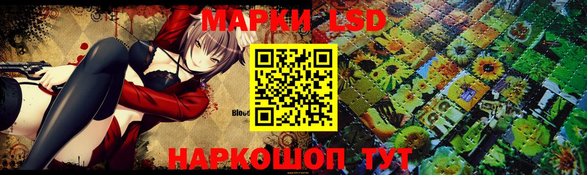 Псилоцибиновые грибы Тында