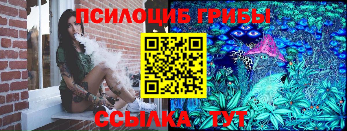 Галлюциногенные грибы Cubensis  как найти наркотики  Тында 