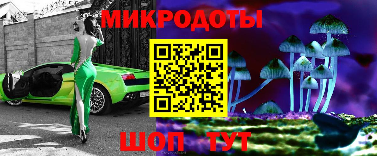 Псилоцибиновые грибы мухоморы Тында